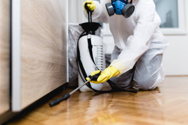 Best Pest Control Cost  in Rosharon, TX