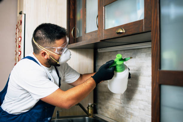 Best Pest Prevention Services  in Rosharon, TX