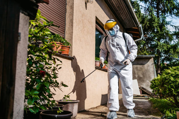 Best Termite Control Services  in Rosharon, TX