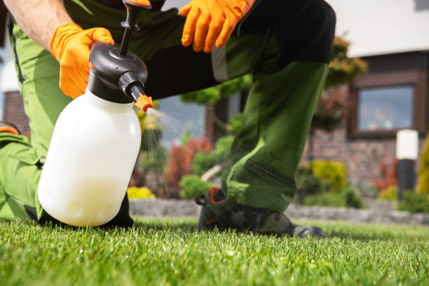 Pest Control Cost in Rosharon, TX