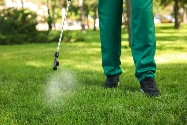 Best Rodent Control Near Me  in Rosharon, TX