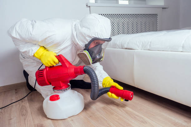 Wasp Removal Services in Rosharon, TX