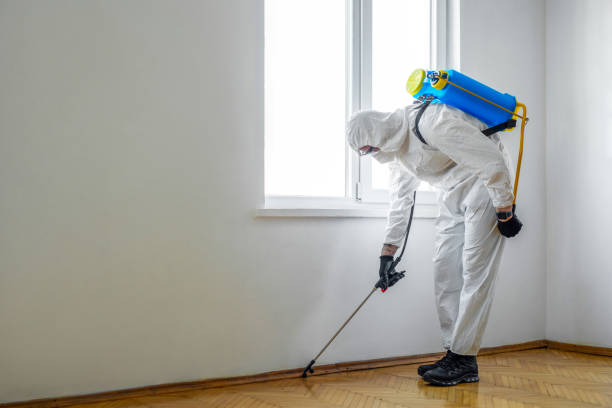 Best Cockroach Control Services  in Rosharon, TX