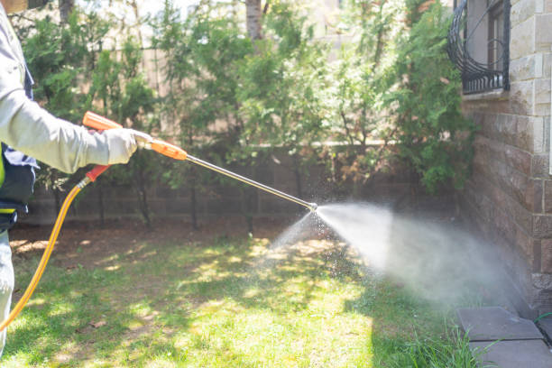 Reliable Rosharon, TX Pest Control Solutions