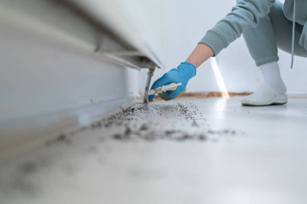 Best Bed Bug Extermination  in Rosharon, TX